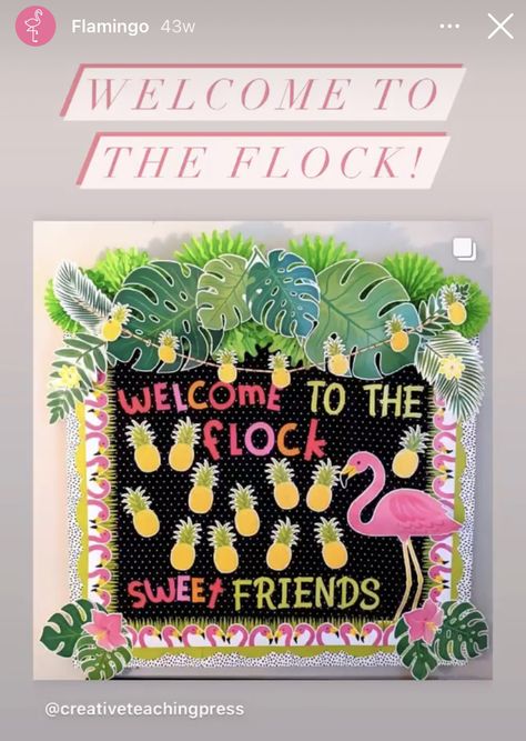 Tropical School Theme, Tropical Classroom Decorating Ideas, Luau Themed Classroom, Tropical Classroom Theme Bulletin Boards, Hawaiian Classroom Decorations, Tropical Theme Bulletin Board, Tropical Classroom Theme Ideas, Tropical Classroom Door Decor, Hawaiian Classroom Door