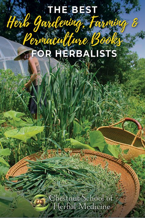 Herb Garden Medicinal, Permaculture Books, Herb Farming, Herbal Aesthetic, Herbalist Garden, Medicine Garden, Sustainable Homestead, Harvesting Herbs, Medicinal Garden