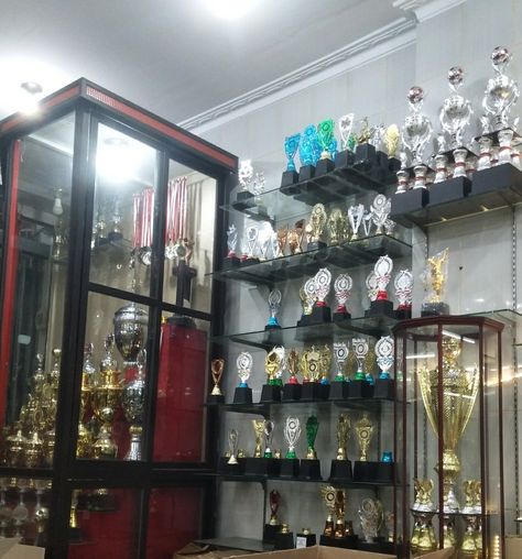 Aesthetic Trophy Shelf, Medals And Trophies Aesthetic, School Medals Aesthetic, Track Pics, Trophy Shelf, Academic Awards, Trophy Collection, Award Display, Trophies And Medals