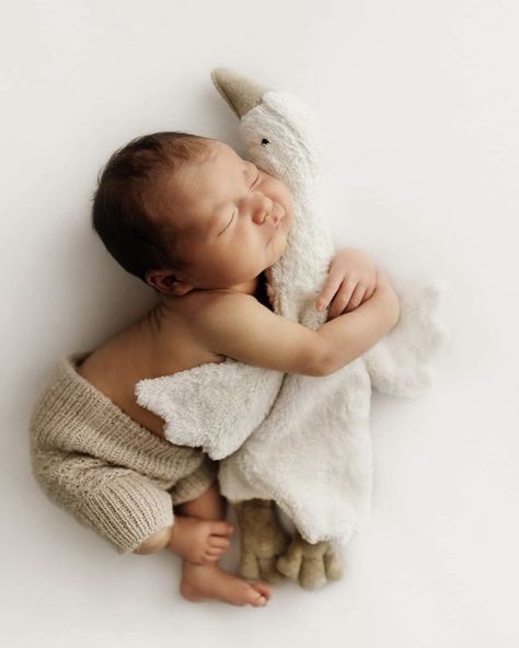 Newborn Photo With Stuffed Animal, Newborn Family Pictures, Foto Newborn, Newborn Photography Boy, Monthly Baby Photos, Baby Pictures Newborn, Newborn Family Photos, Newborn Baby Photoshoot, Baby Poses