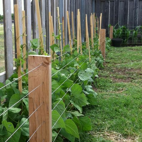 Garden Fence- DIY 2x4 and 17 gauge steel wire garden fence. We built this fence all the way around our small yard to utilize space and keep children and dogs out. Wire Garden Fence, Small Garden Fence, Cheap Garden Fencing, Diy Fence Ideas, Fenced Vegetable Garden, Diy Garden Fence, Small Fence, Garden Fence Ideas, Privacy Fence Designs