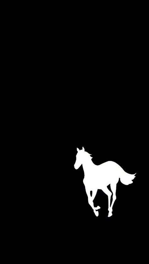 Pony Deftones White Pony, Horse Background, Country Backgrounds, Iphone 5 Wallpaper, Horse Wallpaper, Horse Tattoo, Best Iphone Wallpapers, Horse Pictures, White Horse