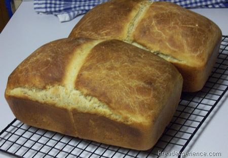 Salt Rising Bread Recipe How To Make, Salt Rising Bread Recipe, Salt Rising Bread, Bread Maker Recipes, Bread Starter, Gluten Free Recipes Bread, Bread Bags, Baking Bread, Bread Maker