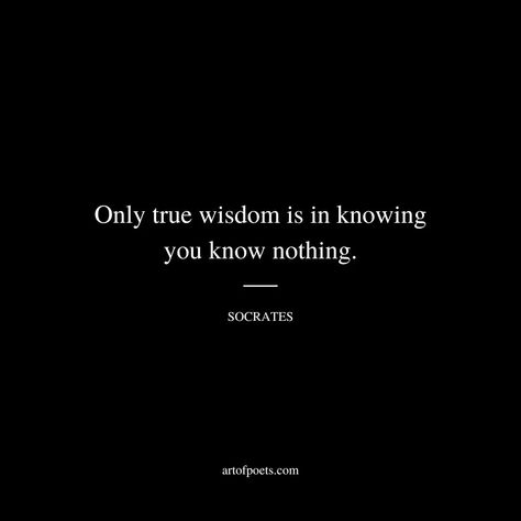 Smartest Person In The Room Quotes, The Art Of Observing And Not Absorbing, Lifelong Learner Quotes, Socrates Quotes, Words To Live By Quotes, Smart Quotes, Socrates, In The Room, Philosophers