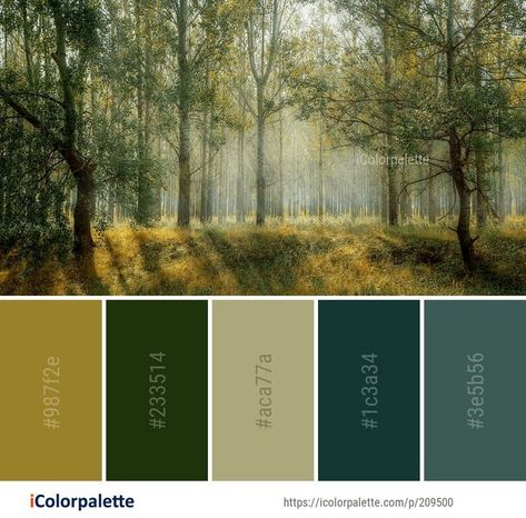 Wedding Palettes, Color Palette Ideas, Forest Color, Palette Ideas, Nature Color Palette, Color Palate, Design Seeds, Color Theme, Leaf Nature