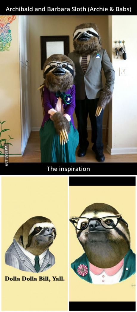 Sloth costumes! Best Cosplay, Diy Costumes, Sloth, Meme Pictures, New Memes, Rio De Janeiro, Happy Holidays, Fall Halloween, Halloween Costumes