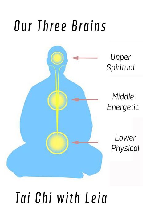 The Three Dantiens Human Aura, Qi Energy, Learn Tai Chi, Chi Energy, Have More Energy, Daily Practices, More Energy, Spirituality Energy, Tai Chi