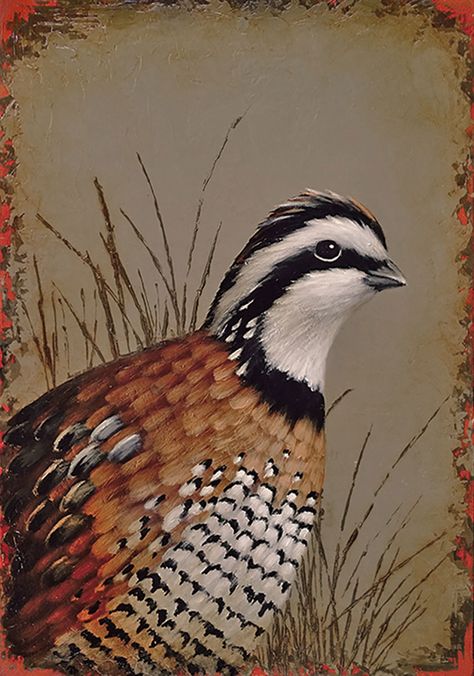 Quail Painting, Quail Tattoo, Waterfowl Art, Hunting Painting, Bobwhite Quail, Hunting Art, Arm Art, Wildlife Pictures, Free Iphone Wallpaper