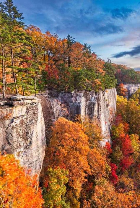 Make the most of peak leaf season in West Virginia by booking an idyllic cabin escape, camping trip, or romantic weekend with a side of soft adventure. #fallleaves #fallfoliage #westvirginia #falltrips #fallcamping #southernliving Fall Foliage Trips, Virginia Fall, New River Gorge, Leaf Peeping, Autumn Morning, Fall Hiking, New River, Camping Spots, Romantic Weekend