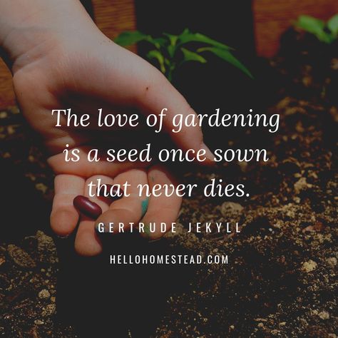 10 gardening quotes that we love Man Gardening, Gardening Quotes Inspirational, Garden Quotes Signs, Gardening Memes, Plant Quotes, Winter Container Gardening, Hobbies Quote, Gardening Quotes, Gardening Humor