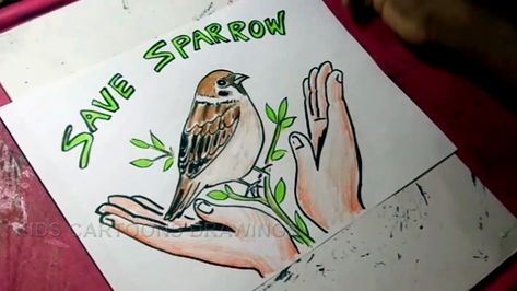 Nature Drawing For Kids, Save Water Drawing, Sparrow Drawing, Animals Drawing, Sparrow Bird, Water Drawing, Save The Earth, Bird Poster, Poster Drawing