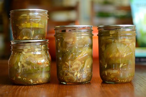 Tweet Last night, I spent an hour in my kitchen making bread and butter pickles and talking to my phone (otherwise known as doing a live broadcast via Facebook). I answered questions, used a mandoline slicer without injuring myself, and at the end had three and a half pints of tasty pickles for my efforts. … Bread Small Batch, Mandolin Recipes, Small Batch Bread, Bread And Butter Pickle Recipe, Small Batch Canning, Canning Pickles Recipe, Bread N Butter Pickle Recipe, Recipe Cucumber, Home Made Bread