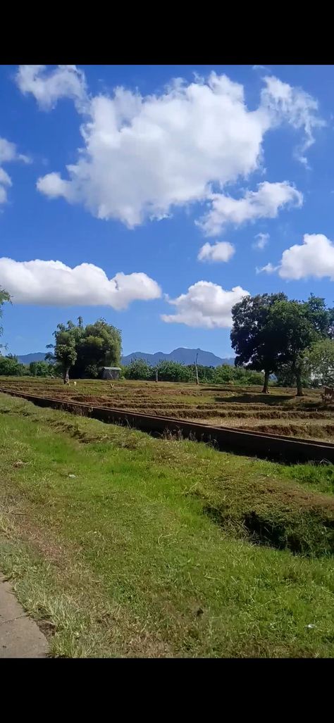 province. Bukid Life, Province Life, Country Roads, Road, Quick Saves, Nature