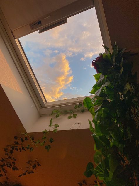 Skylight Room, Skylight Bedroom, Sunrise Window, Skylight Window, Earthy Home, Earthy Aesthetic, Windows Wallpaper, Pretty Sky, Aesthetic Bedroom