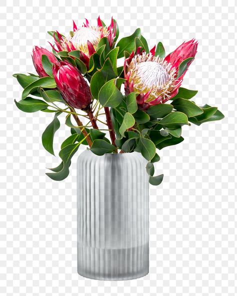 Object Collage, Vase Png, Png King, Flower In Vase, Protea Flower, Element Design, Flower Vases, Flower Pots, Glass Vase