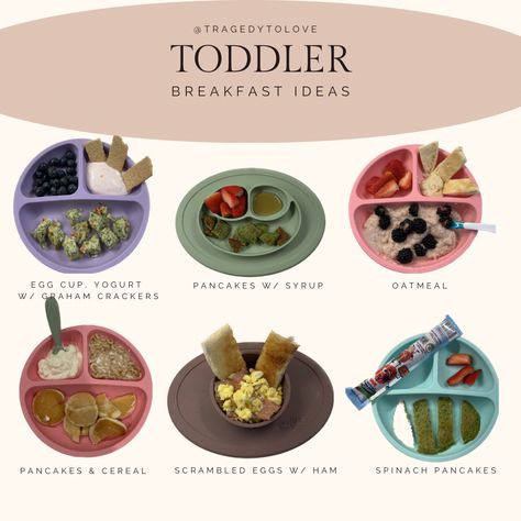 Baby food plates, egg bites with yogurt and graham crackers, spinach pancakes with syrup, oatmeal with berries, mini pancakes with cereals, scrambled eggs with ham and toast, spinach pancakes with yogurt Breakfast Ideas For One, Ideas For One Year Olds, Spinach Pancakes, Baby Led Feeding, Easy Toddler Meals, Yogurt Pancakes, Meal Planning Menus, Toddler Breakfast, Baby Snacks