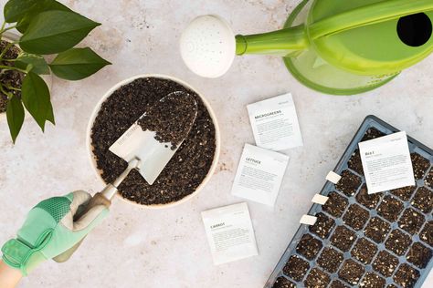 It's almost time to start seeds for summer gardening. Here, we round-up seven must-have items for seed starting, as told to us by experts and all from Amazon. Lotion Organization, Seed Starter Kit, Growing Rosemary, Rosemary Plant, Cleaning Faucets, Seed Starting Mix, Acid Loving Plants, Seed Starter, Gardening Trends