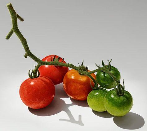 Fruit Still Life Photography Simple, Fruit And Vegetable Still Life Photography, Tomato Still Life Photography, Fruit Reference Photos For Artists, Stilllife References, Tomato Reference, Fruit Pictures Photography, Fruit Stillife, Still Life Fruit Reference