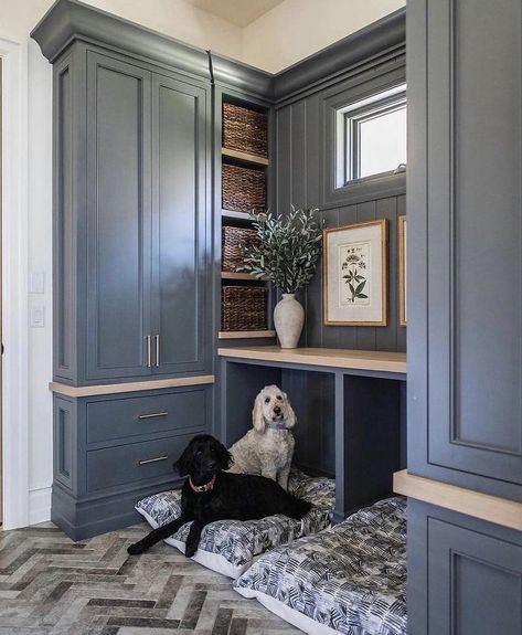 Best Area Rugs, Utah Style, Dog World, Tuscan Style Homes, Dog Spaces, Mudroom Decor, Becki Owens, Dog Area, Industrial Interior Design