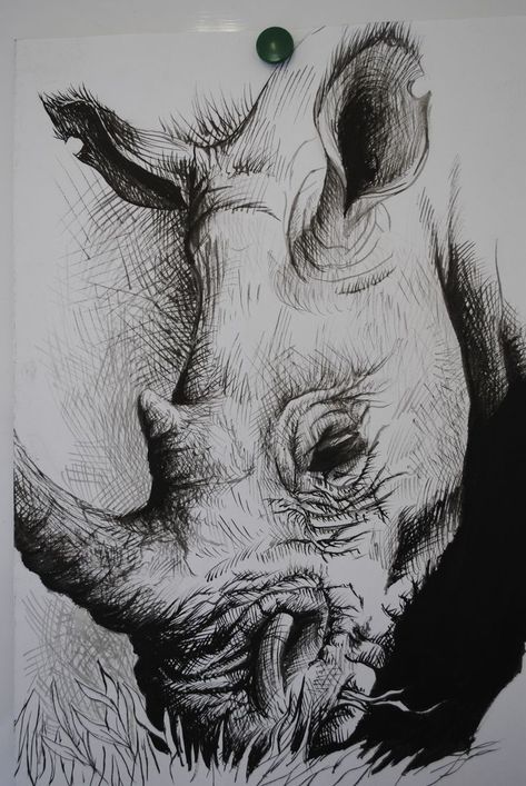 Rhino Sketch, Rhino Drawing, Rhino Painting, Rhino Tattoo, Rhino Art, Quick Painting, Pencil Drawings Of Animals, Pen Art Drawings, Drawing Faces