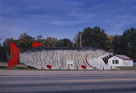 John Margolies’ Photographs of Roadside America  ||  Remarkable collection of photographs documenting the eccentric roadside architecture and ephemera of America. https://publicdomainreview.org/collection/john-margolies-photographs-of-roadside-america/ Highway Architecture, Fish Supper, Peach Water, Mobile Home Parks, Supper Club, Roadside Attractions, Water Tower, Big Fish, Library Of Congress