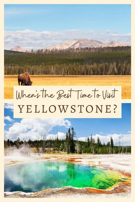 When is the best time to visit Yellowstone National Park? We visited Yellowstone in the fall and it was amazing. However, every season has pros and cons depending on your priorities. Click through to read about Yellowstone in spring, summer, fall, and winter before deciding the best time for you to visit this beautiful American National Park. via @livedreamdiscov #yellowstonenationalpark #yellowstineinthefall #yellowstoneusa Yellowstone Vacation, American National Parks, North America Travel Destinations, Visit Yellowstone, Yellowstone Park, Best Vacation Spots, Visit Usa, Argentina Travel, National Parks Usa