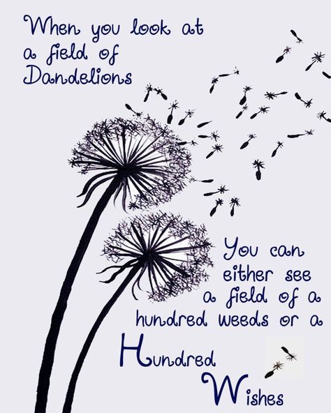 “When you look at a field of dandelions you can either see a hundred weeds or a hundred wishes.” A Field Of Dandelions, Dandelion Quotes, Field Of Dandelions, Dandelion Wishes, A Dandelion, Dandelion Wish, Card Sentiments, Nature Quotes, Happy Thoughts