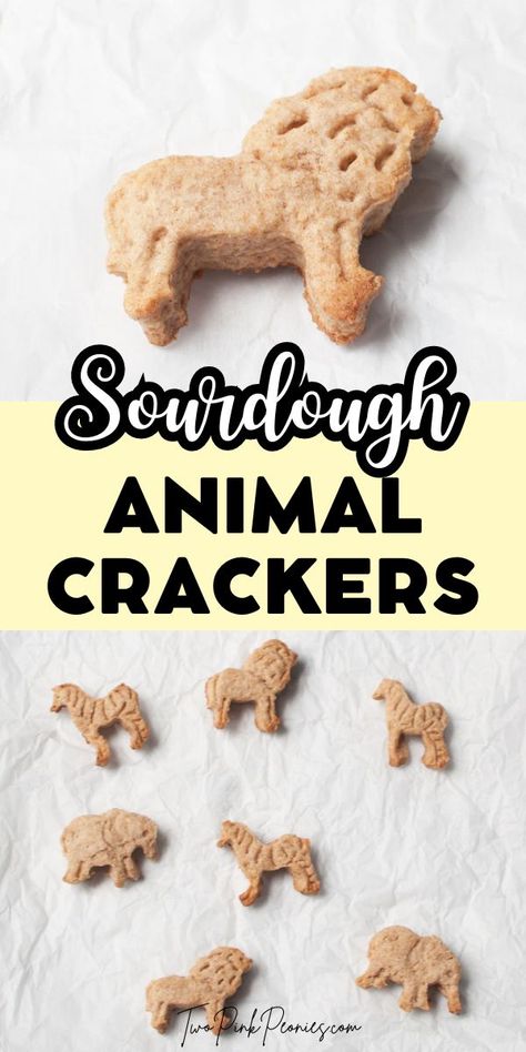 These Sourdough Animal Crackers are the perfect homemade sourdough treat to make! These fun sourdough discard cookies are lightly sweetened, have tangy sourdough notes, and little bit of cinnamon spice. Sourdough Discard Animal Crackers, Sourdough Animal Crackers, Sourdough Snacks, Sourdough Discard Cookies, Discard Cookies, Animal Crackers Recipe, Sourdough Cookies, Recipe Using Sourdough Starter, Potato Candy