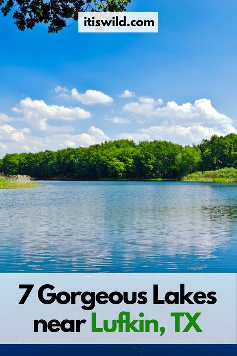 Best Recreational Lakes near Lufkin Texas Lufkin Texas, Texas Lakes, Big Lake, In America, Kayaking, Bass, Hobbies, Fishing, Matter