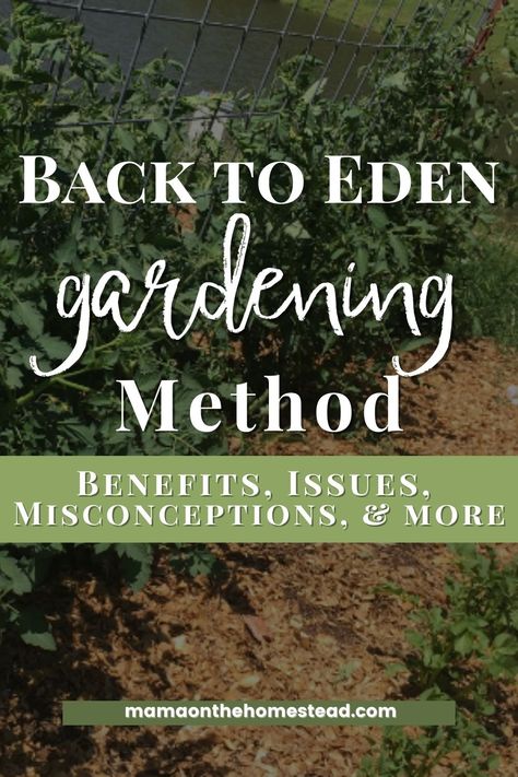 Garden Of Eden Diet, Back To Eden Garden Layout, Back To Eden Gardening, Wood Chip Mulch, Back To Eden, Composting Methods, Weed Barrier, Homestead Gardens, Gardening Flowers