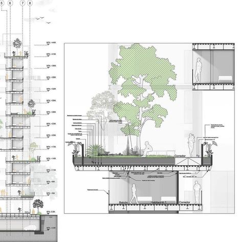 1:50 Section Architecture, Section Architecture Photoshop, Section Photoshop, Section Drawing Architecture, Diagram Illustration, Rainscreen Cladding, Urban Design Graphics, Section Drawing, Landscape Architecture Drawing