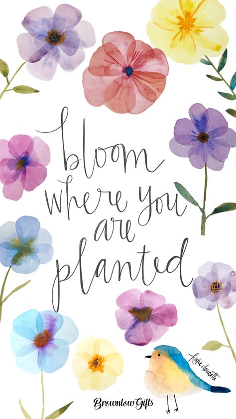 Blossom Where You Are Planted Quote, Bloom Where You Are Planted Wallpaper, Bloom Where You Are Planted Quote, Plant Affirmations, Flower Sayings, Sui Dhaga, Bloom Wallpaper, Router Projects, Chalk Wall