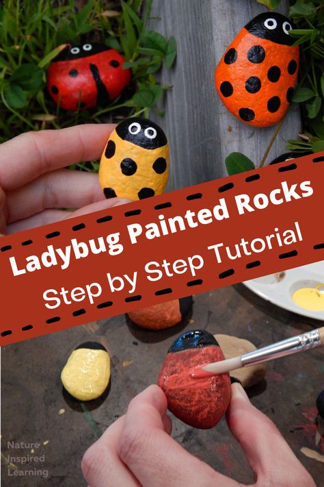 Ladybug Painted Rocks, Diy Ladybug, Lady Bug Painted Rocks, Painted Ladybug, Green Header, Rock Steps, Ladybug Rocks, Art Activities For Toddlers, Rock Painting Tutorial