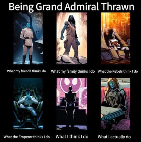 Thrawn Book, Thrawn Star Wars, Admiral Thrawn, Grand Admiral Thrawn, Space Dust, Star Wars Ideas, Funny Star Wars, Star Wars Jokes, High Ground