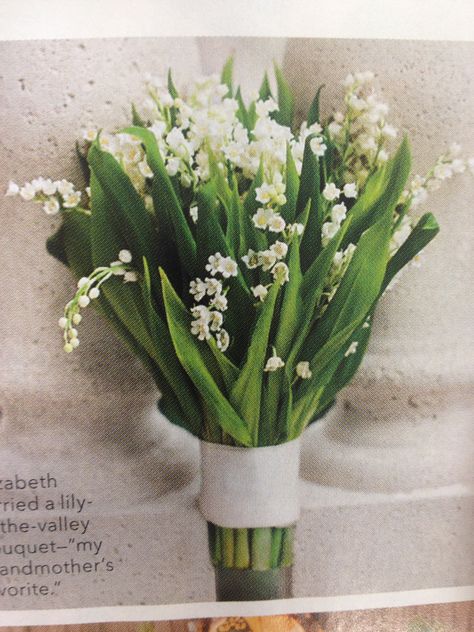 Love this simple, gorgeous lily of the valley bouquet! Bouquet Lily Of The Valley, Lily Of The Valley Bouquet, Simple Bouquet, Crochet Flower Bouquet, Crochet Flower, Lily Of The Valley, The Valley, Cactus Plants, Crochet Flowers