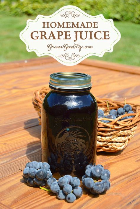 Canning Grapes, Concord Grape Juice Recipe, Canning Grape Juice, Concord Grape Recipes, Preserve Fruit, Homemade Grape Juice, Concord Grape Juice, Grape Juice Recipe, Canning Jams