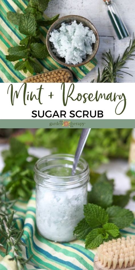 Here is an uber-moisturizing, exfoliating sugar scrub recipe that will wake up your skin and your mind with its invigorating rosemary and sweet spearmint scent. Make up a batch of this refreshing scrub to bring a boost to your morning shower routine, or give it away to someone who could use a little lift. #gardentherapy #essentialoils #handmadegifts #naturalskincare #sugarscrub #plantbasedbeauty Herbal Scrub, Sugar Scrub Homemade Recipe, Diy Natural Beauty Recipes, Homemade Sugar Scrub, Diy Sugar Scrub Recipe, Honey Store, Skin Moles, Garden Therapy, Sugar Scrub Homemade