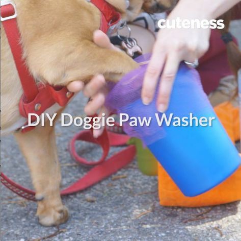 Dog Paw Washing Station, Paw Cleaner, How Do You Clean, Dog Paw, Diy Box, Diy Dog Stuff, Puppy Training, Dog Paws, Washer