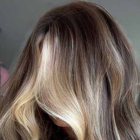 DAYTON•HAIR EXTENSIONS on Instagram: "High Contrast Balayage 🙌🏻

Is she Blonde, or is She Brunette? 

@mastersofbalayage #mobawards_blonde2024 #mobawards_brunette2024 #highcontrasthair #livedinhair #troyohio" High Contrast Blonde, High Contrast Balayage, Contrast Balayage, High Contrast, Hair Extensions, Balayage, Hair Cuts, Blonde, Hair