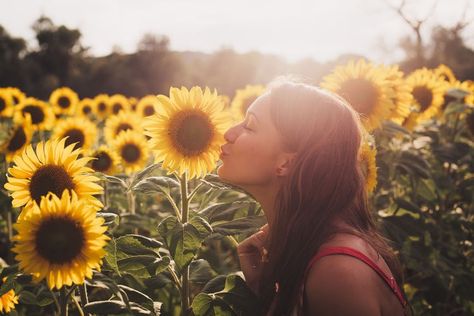 Field Photoshoot Ideas, Sunflower Field Photoshoot, Sunflower Field Photography, Sunflower Field Pictures, Field Senior Pictures, Colorful Walls, Senior Photoshoot Poses, Field Photoshoot, Sunflower Photography