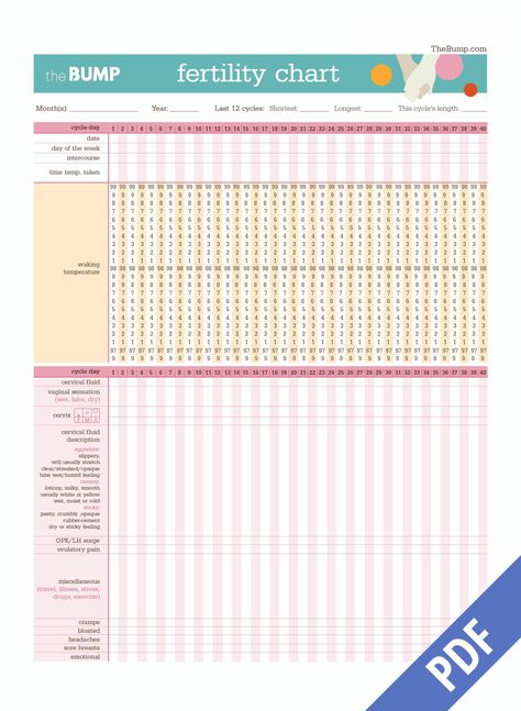 Tool: Fertility Chart Fertility Chart, Fertility Cycle, Fertile Window, Basal Body Temperature, Cervical Mucus, Fertility, Word Search Puzzle