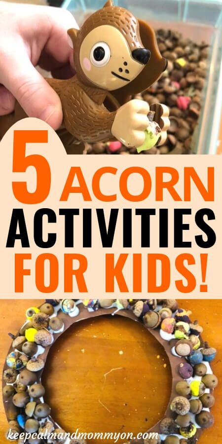 Acorn Sensory Bin, Acorn Crafts For Preschoolers, Acorn Art Preschool, Acorn Art For Toddlers, Acorn Theme Preschool Activities, Acorn Activities For Toddlers, Preschool Acorn Activities, Acorn Preschool, Acorn Activities For Preschoolers