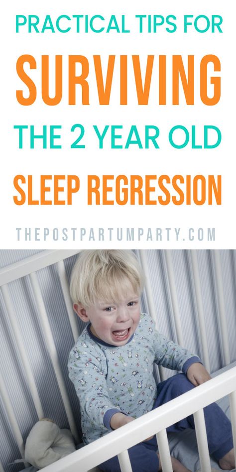 Two Year Old Sleep Schedule, 2 And A Half Year Old Sleep Schedule, 2 Year Sleep Regression, Postpartum Party, Toddler Sleep Regression, Sleep Hacks, Sleeping Tips, Newborn Sleep Schedule, Dog Pregnancy Announcement