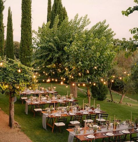 Villa Cetinale, Forest Wedding Reception, French Country Wedding, Destination Wedding Italy, Forest Theme Wedding, Backyard Reception, Simple Wedding Decorations, Orchard Wedding, Dream Wedding Decorations