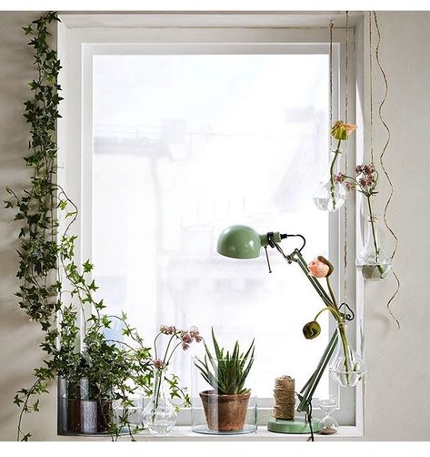 Decorate With Plants, Indoor Climbing Plants, Ikea Uk, Rich Decor, Dorm Diy, Dorm Room Diy, Deco Nature, Artificial Flowers And Plants, Cylinder Vase