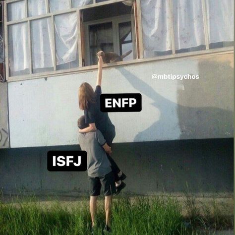 Enfp Isfj, Personalidad Enfp, Introverted Sensing, Enfp Personality, Enfp T, Mbti Types, Mbti Memes, Mbti Relationships, Myers Briggs Personality Types