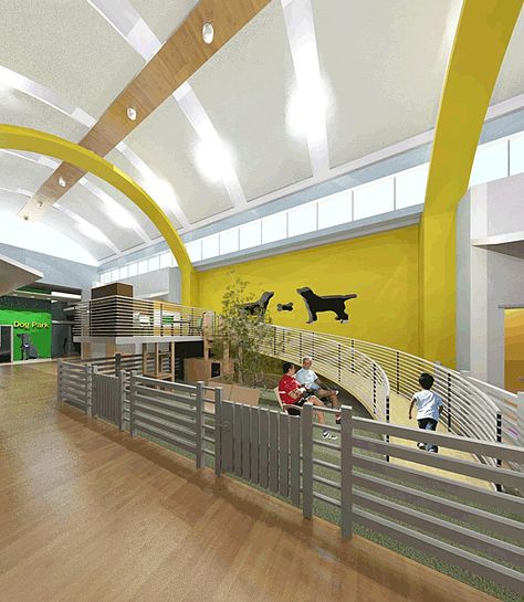 animal shelter design - Google Search Animal Shelter Design, Indoor Dog Park, Dog Boarding Facility, Dog Boarding Kennels, Pet Adoption Center, Dog Hotel, Shelter Design, Dog Playground, Pet Resort