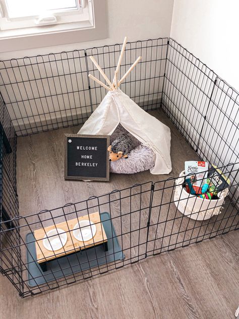 New Puppy Area Ideas, Dog Toy Bin Ideas, Cute Puppy Crate Ideas, Crate Set Up For Puppy, Dog Starter Kit, Puppy Cage Set Up, Puppy Kennel Ideas Indoor, Puppy Pen Ideas Indoor Small Space, Puppy Pin Ideas