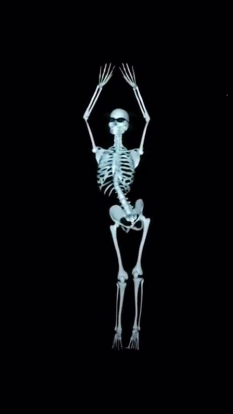 Skeleton dance in 2022 | Pretty songs, Feel good videos, Life is strange wallpaper Skull Stim Gif, Skeloten Wallpapers, Wallpaper Backgrounds Skeleton, Skeleton Wearing Headphones, Disturbing Wallpaper, Skeleton Video, Skeleton Pfp, Wallpaper Skeleton, Skeletons Wallpaper Aesthetic