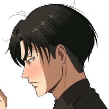 Levi And Erwin, Avatar Zuko, Aot Characters, Black Comics, Captain Levi, Hottest Anime Characters, Demon King Anime, Attack On Titan Levi, Eren Jaeger